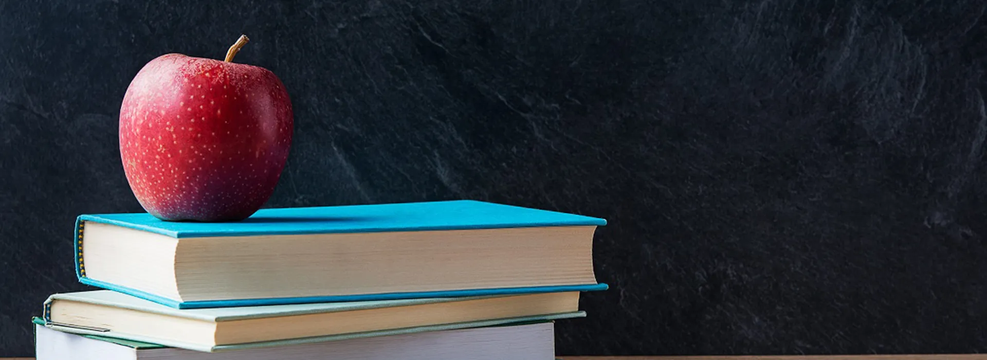 Careers in Education Panel Discussion