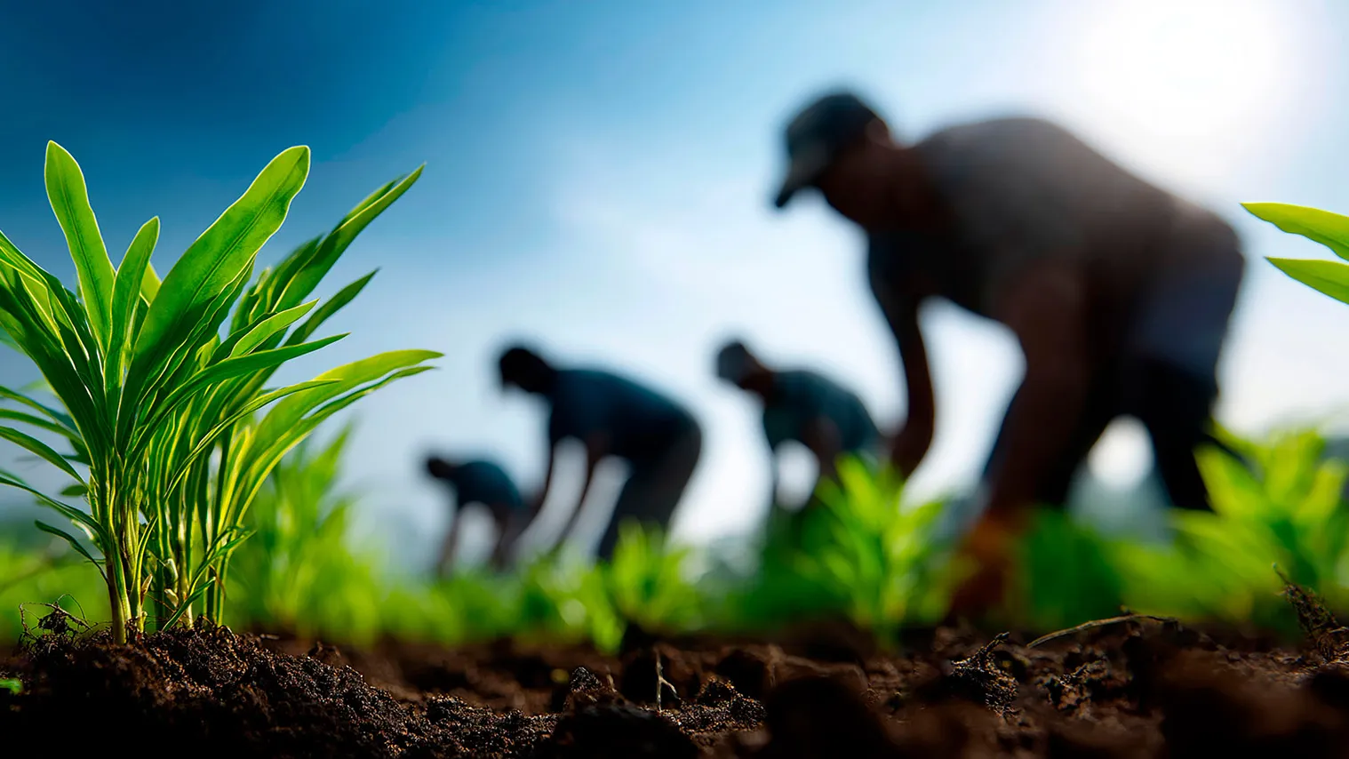 Photo illustrating farm work.