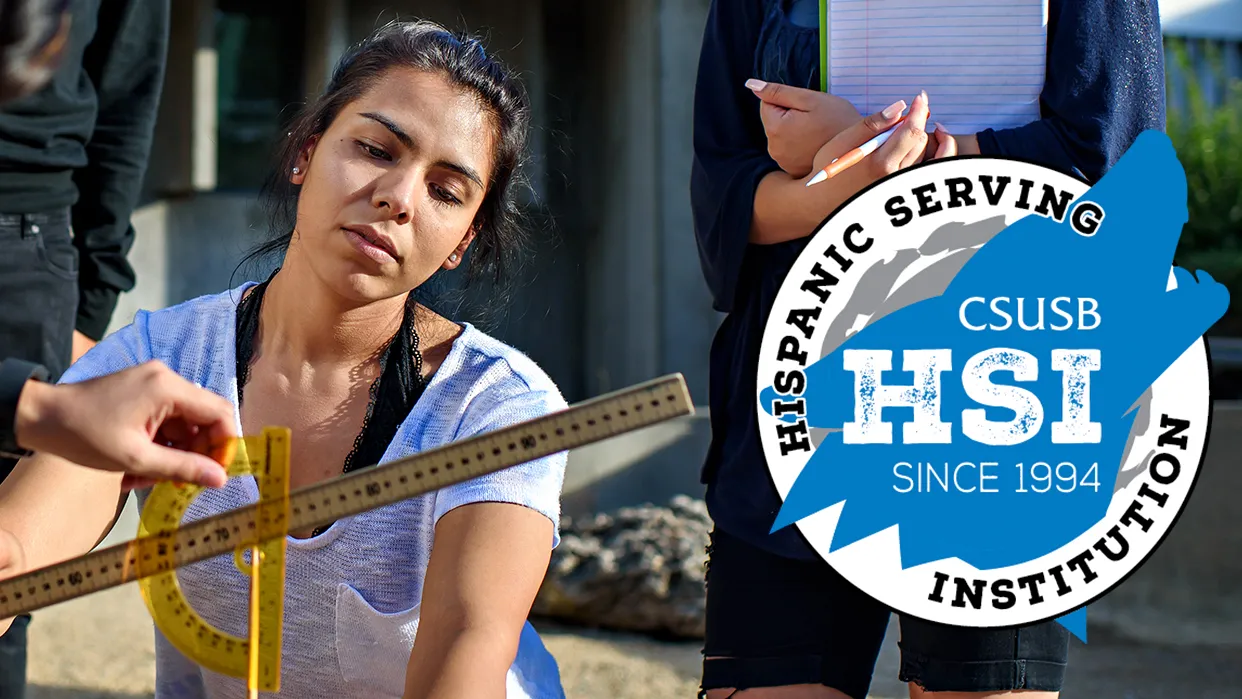 Summer fellowship on data science