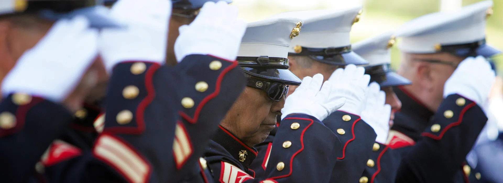 veteran saluting pictured