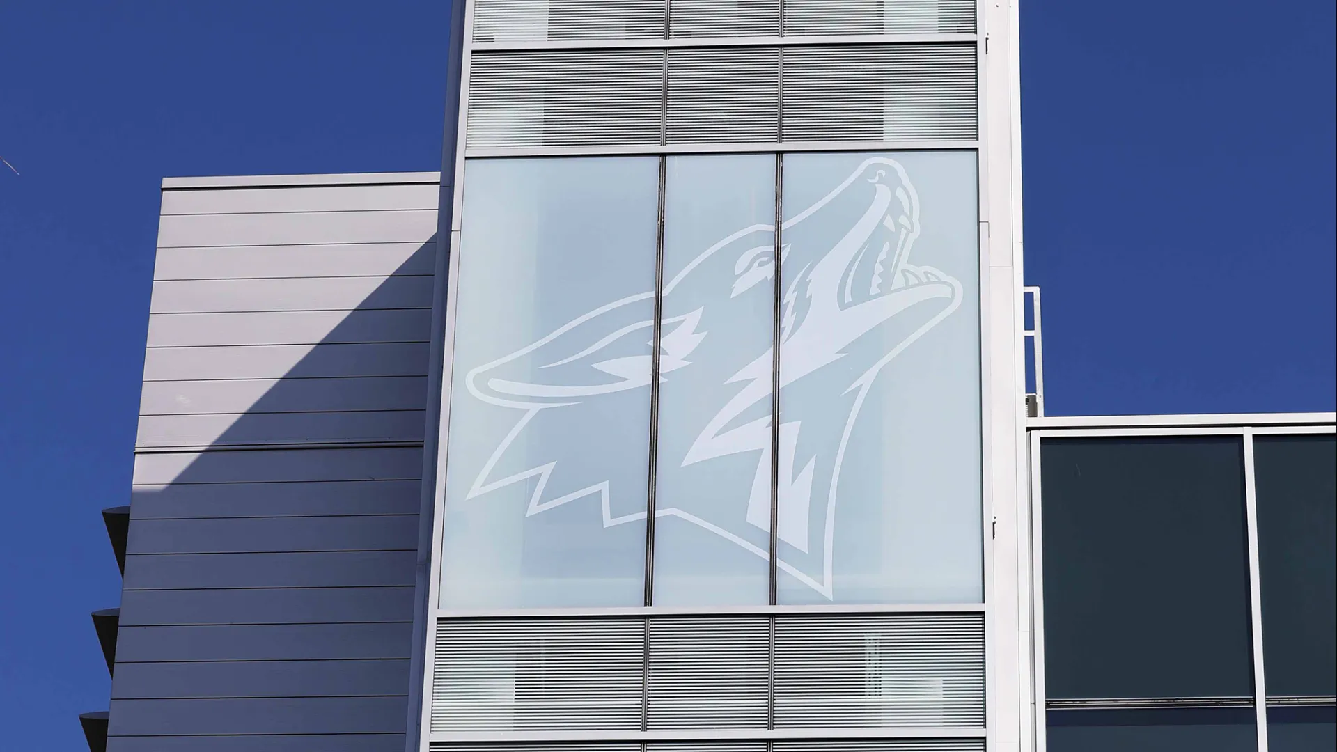 The CSUSB Coyote looms over the campus from the top of the Santos Manuel Student Union North.