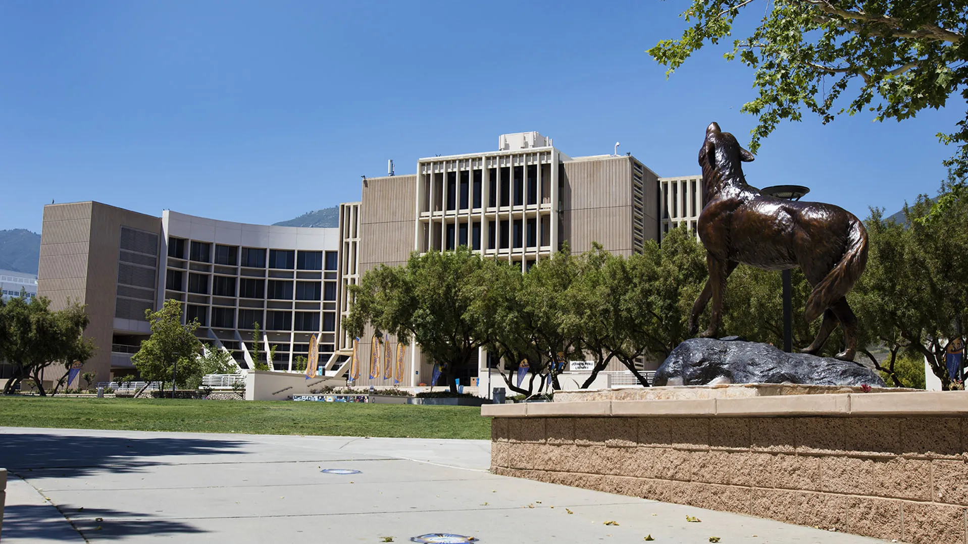 Wild Song and the John M. Pfau Library.