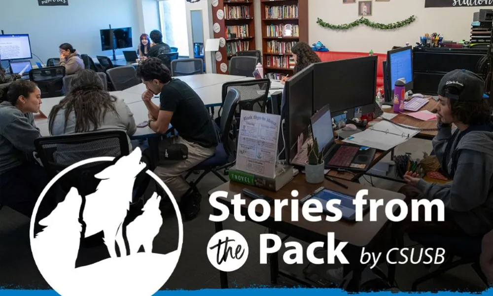 Stories from the Pack graphic