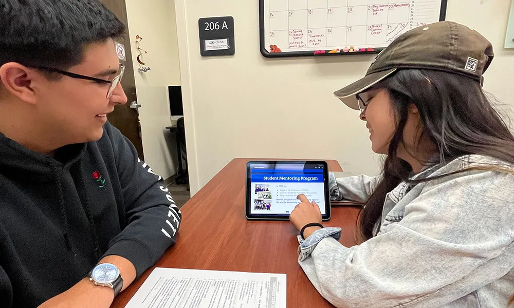 Mentoring session showing services