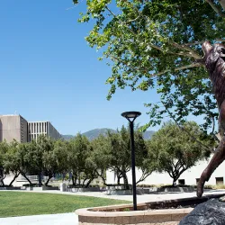 CSUSB to offer additional financial aid and more classes for students this summer