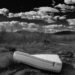 Photo by Pedro Aceves