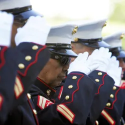 Veterans saluting