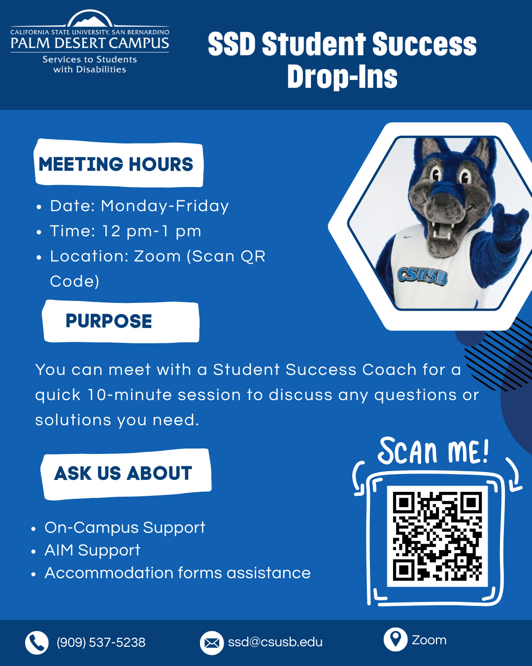 SSD flyer