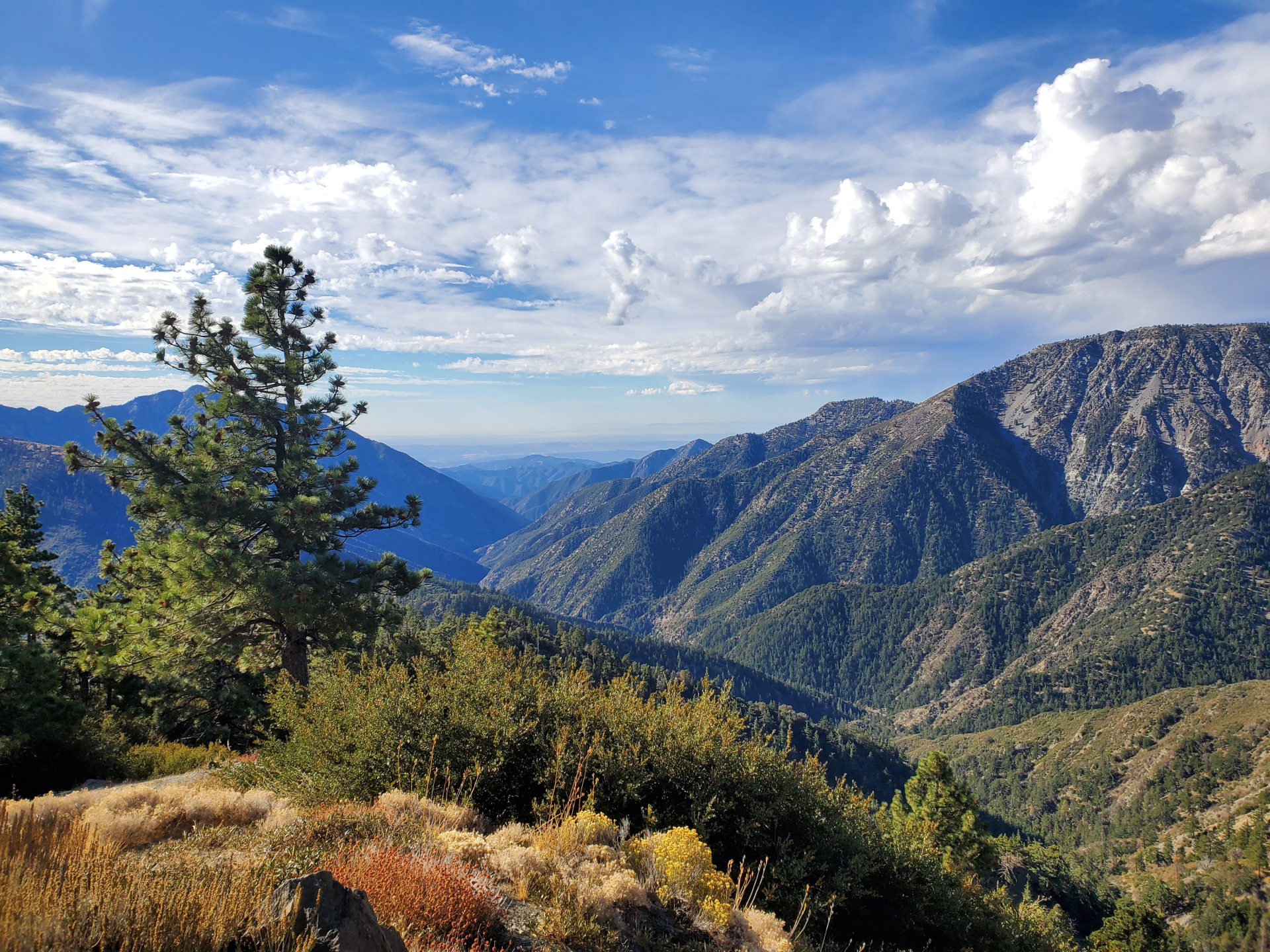looking ay valley from mountain top