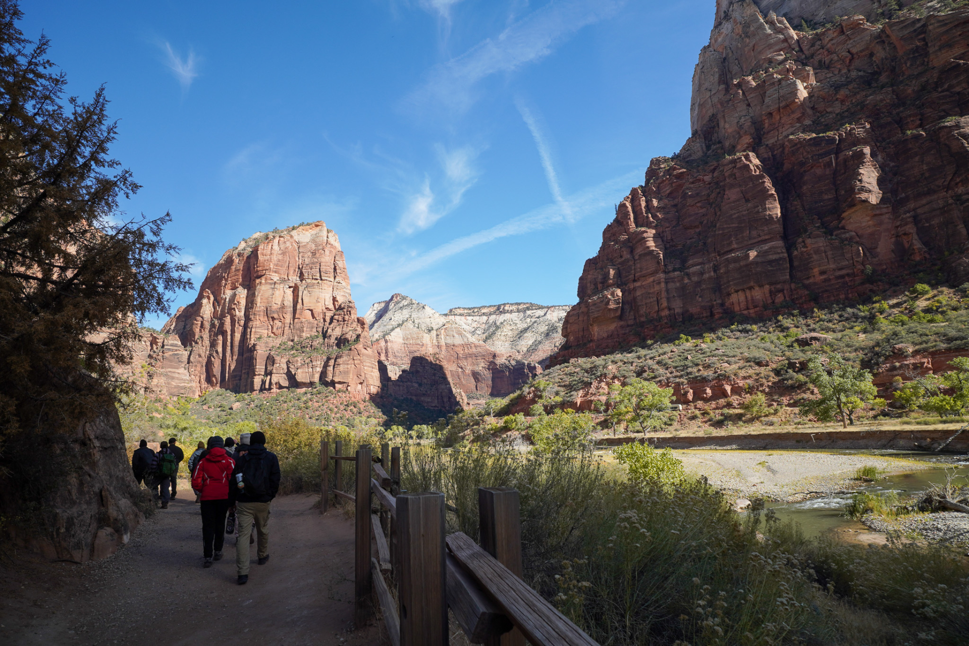 Zion Canyon View