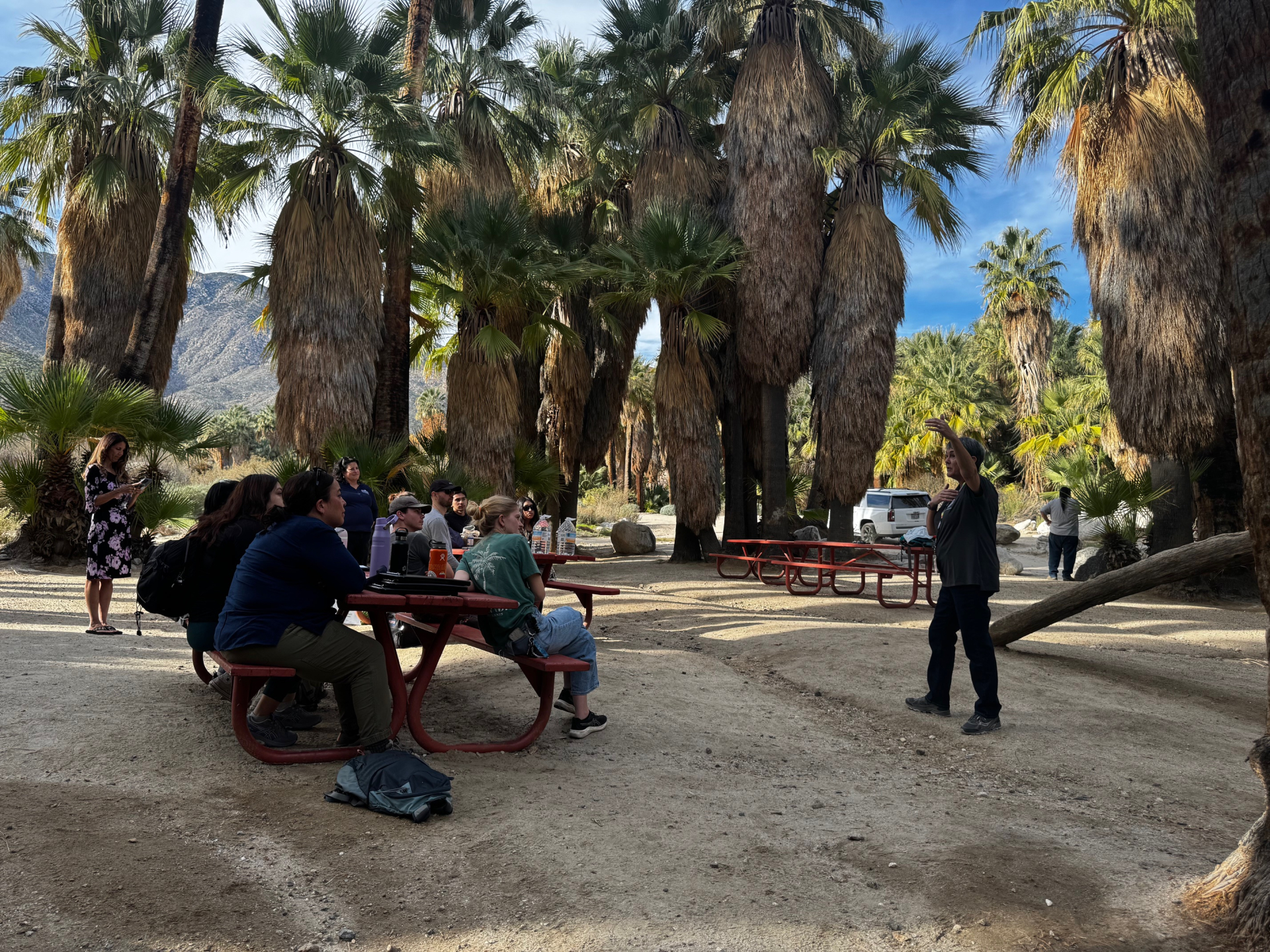 FLOWS participants at Andreas Canyon