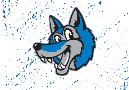 Resumes & Cover Letters