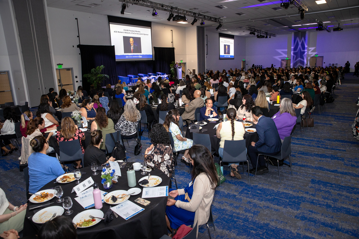 ACE Women's Network Lunch & Learn event