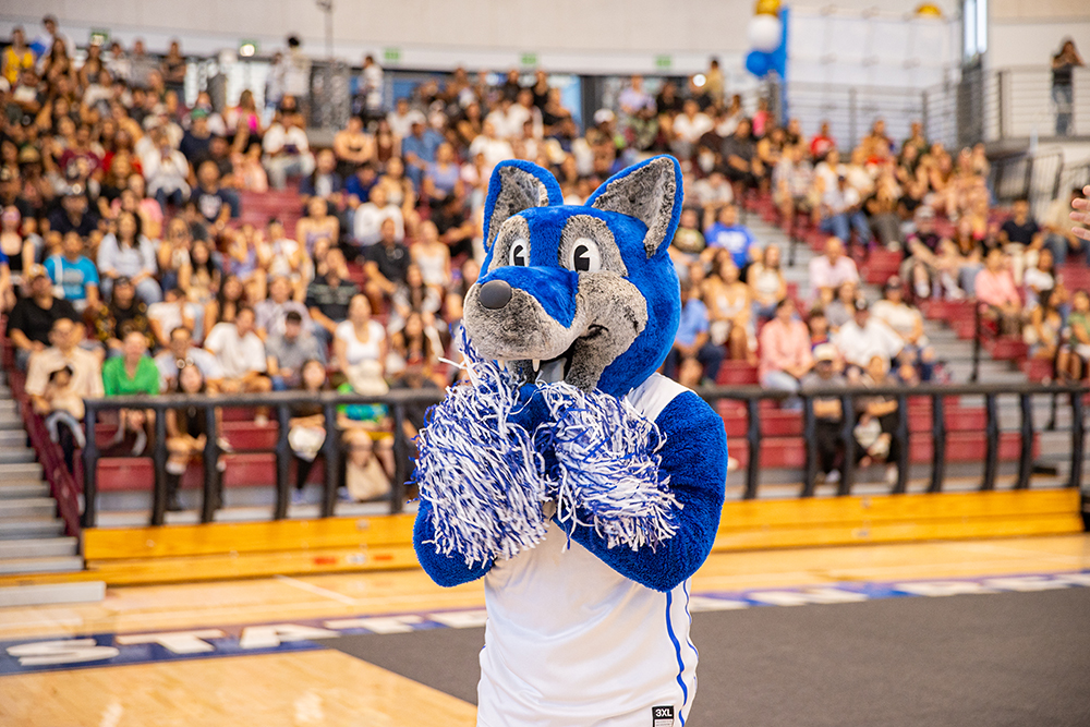 Choose CSUSB Day 2026