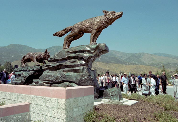The cast bronze statue of three coyotes by Chinese artist Guo Xuanchang is unveiled in front of the information center on Coyote Drive.